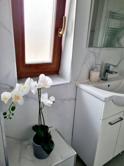 Cozy Apartment Near City Center Bucareste Exterior foto